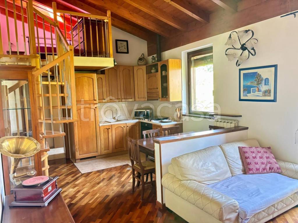 immagine annuncio 7 di 14