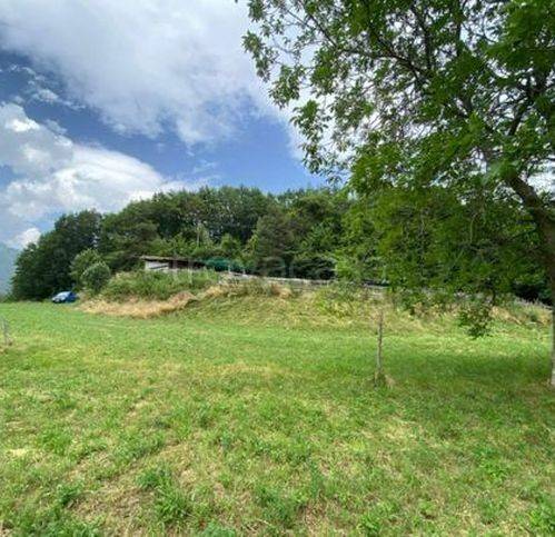 immagine annuncio 3 di 14