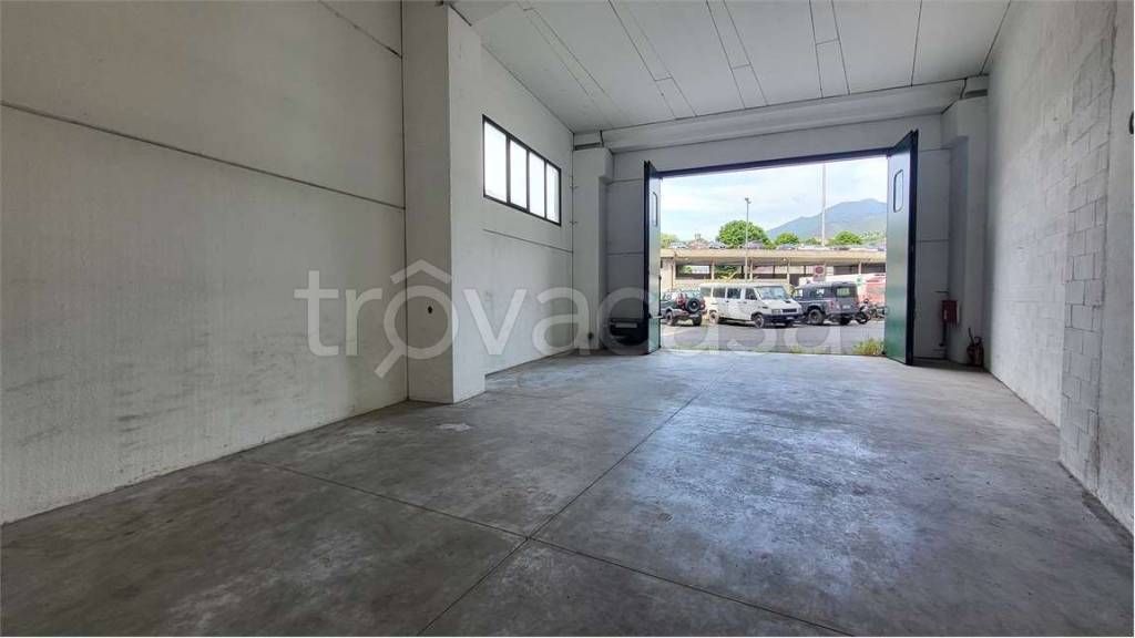 immagine annuncio 4 di 6