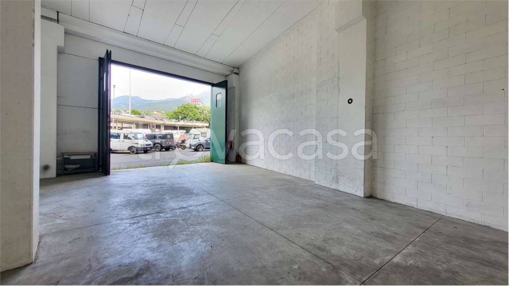 immagine annuncio 5 di 6