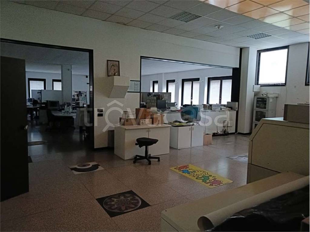 immagine annuncio 3 di 14