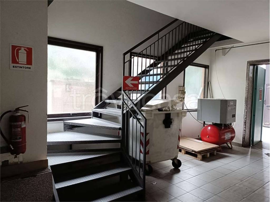 immagine annuncio 5 di 14