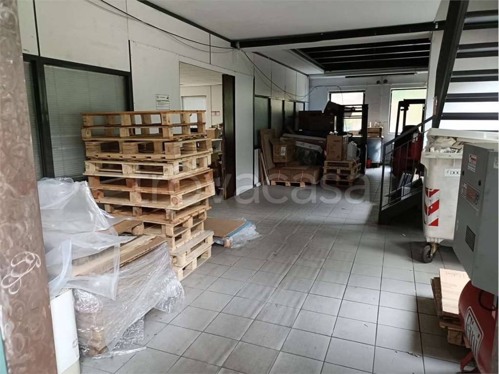 immagine annuncio 6 di 14