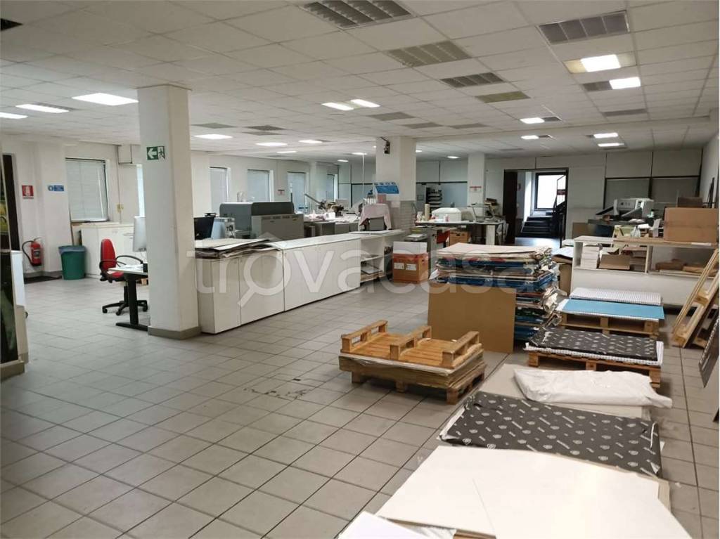 immagine annuncio 7 di 14