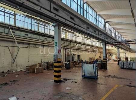 immagine annuncio 3 di 6