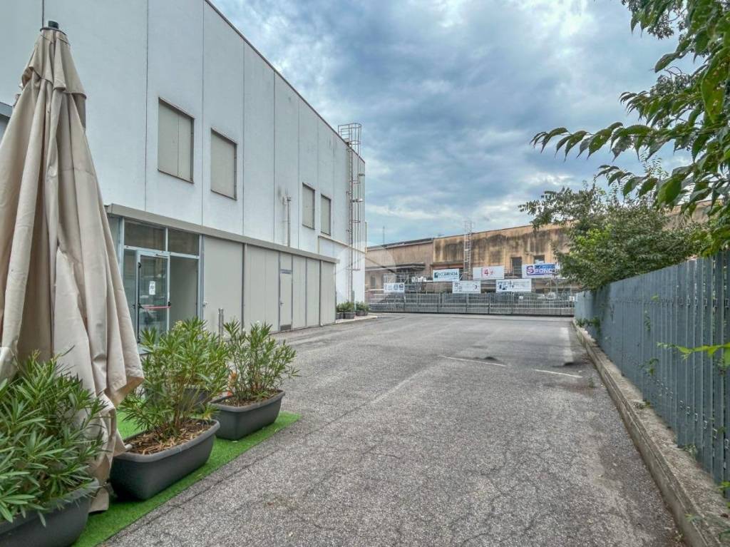 immagine annuncio 13 di 15