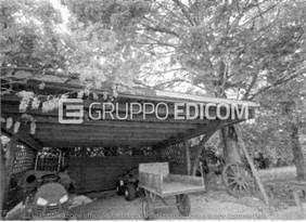 immagine annuncio 1 di 8