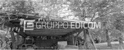 immagine annuncio 2 di 8