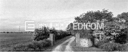 immagine annuncio 4 di 8