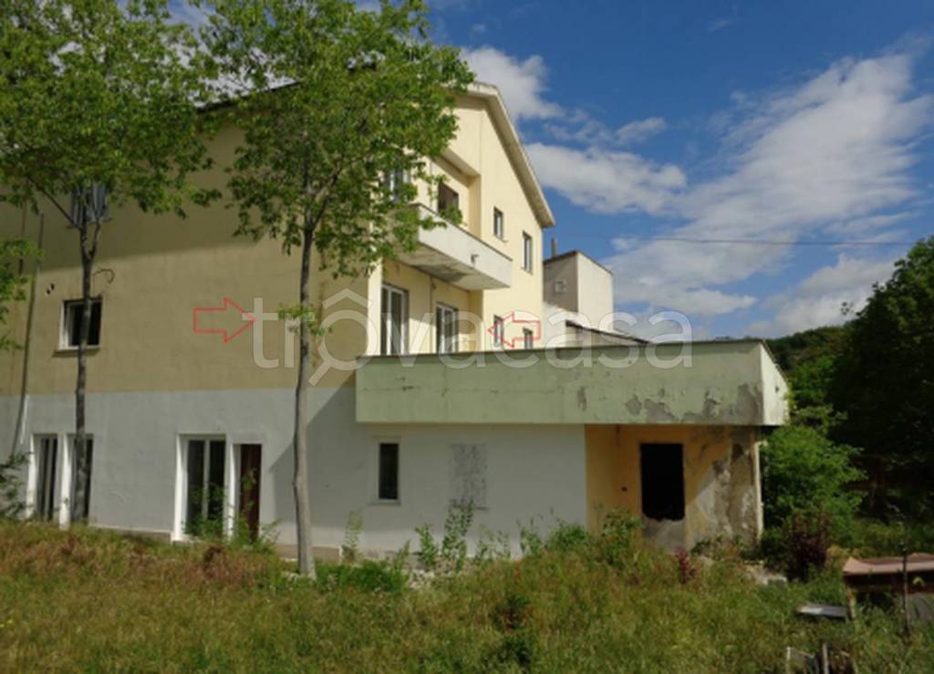 immagine annuncio 4 di 12