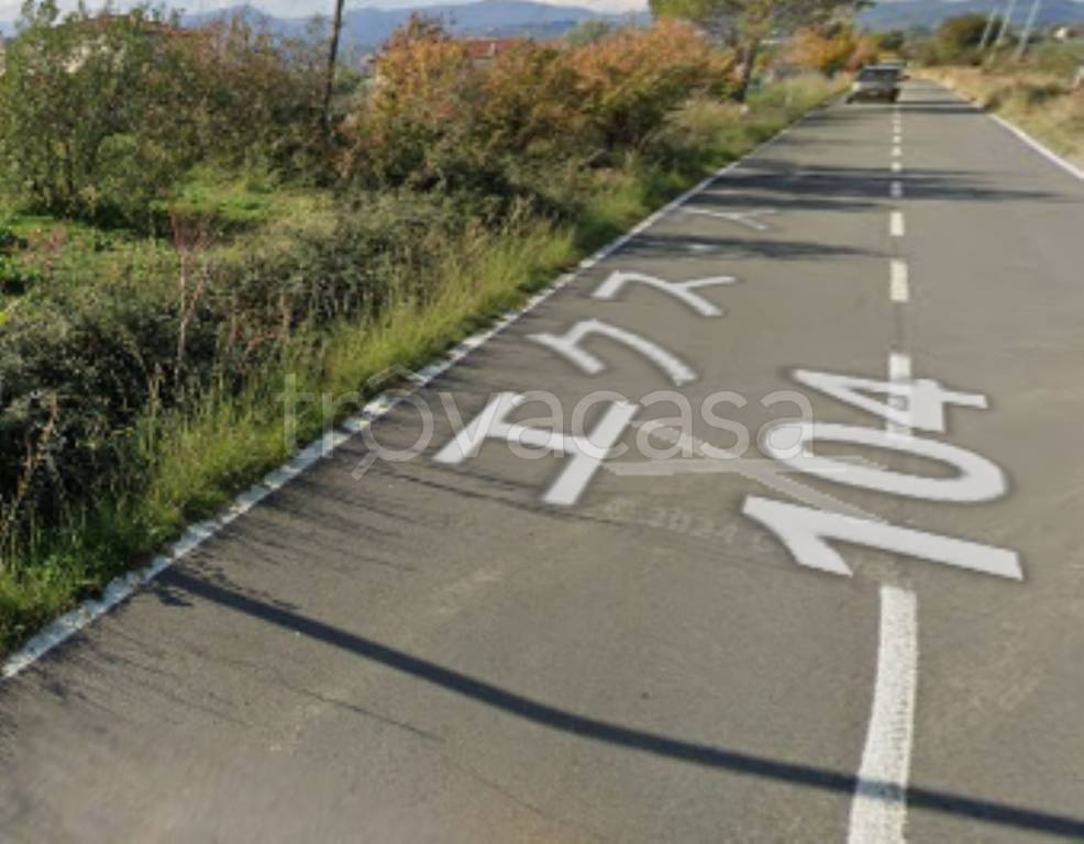 immagine annuncio 6 di 11