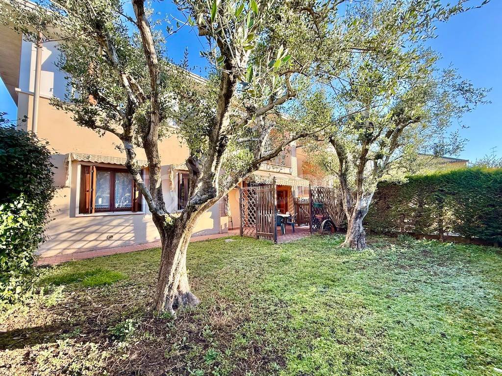 immagine annuncio 1 di 15