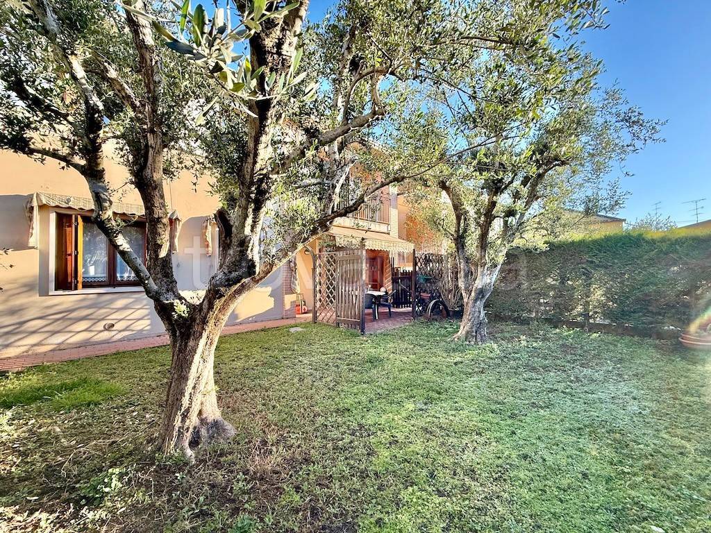 immagine annuncio 3 di 15