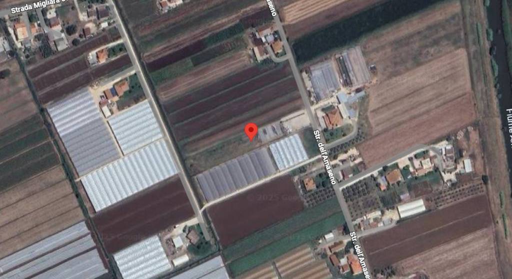 immagine annuncio 6 di 11