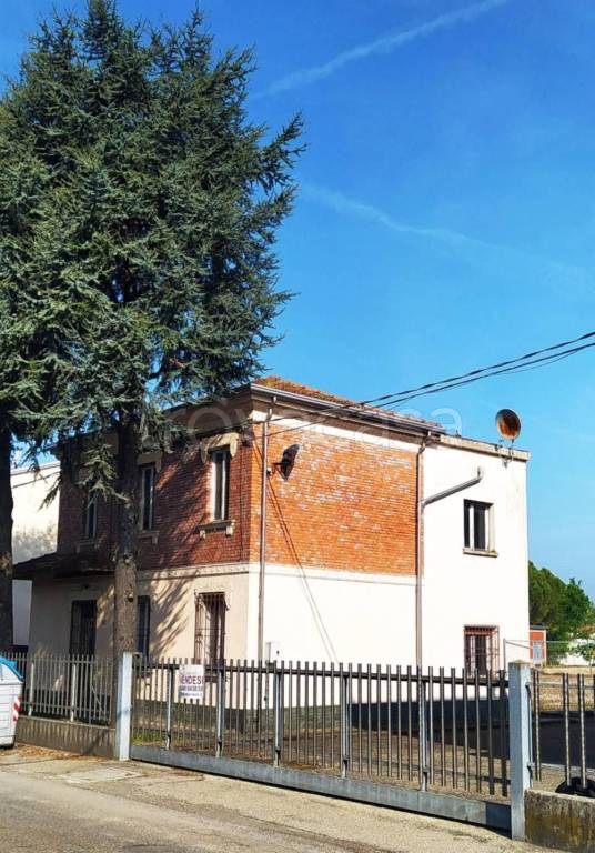 immagine annuncio 7 di 12