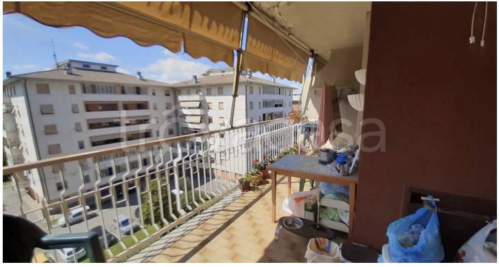 immagine annuncio 9 di 14