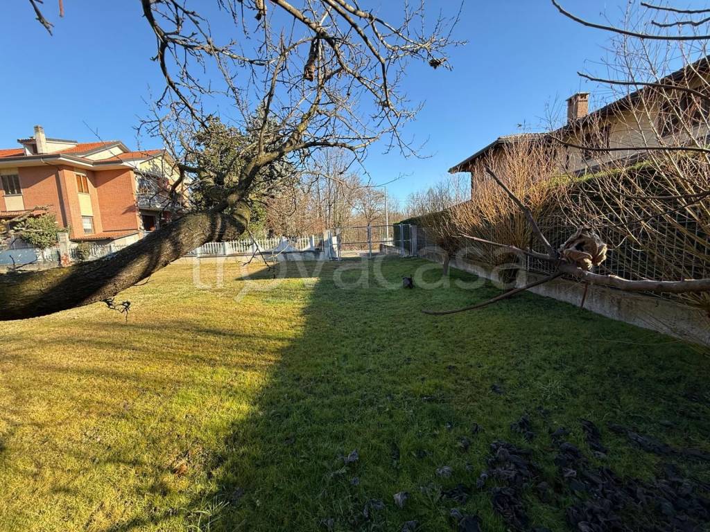 immagine annuncio 10 di 15