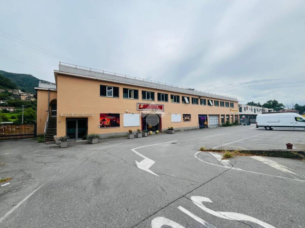 immagine annuncio 7 di 10