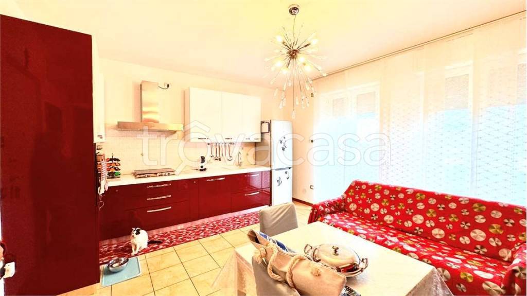 immagine annuncio 1 di 12