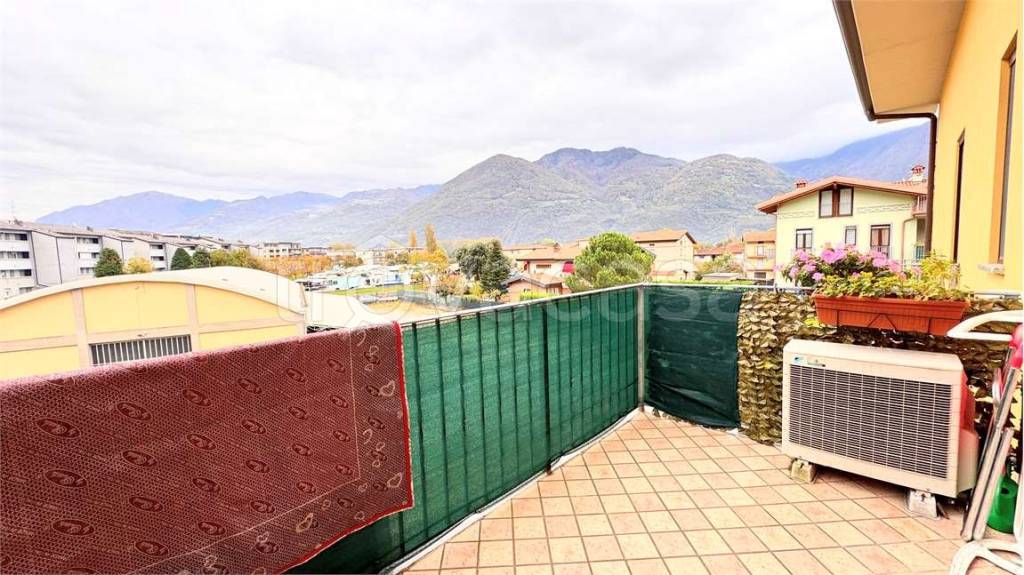 immagine annuncio 5 di 12