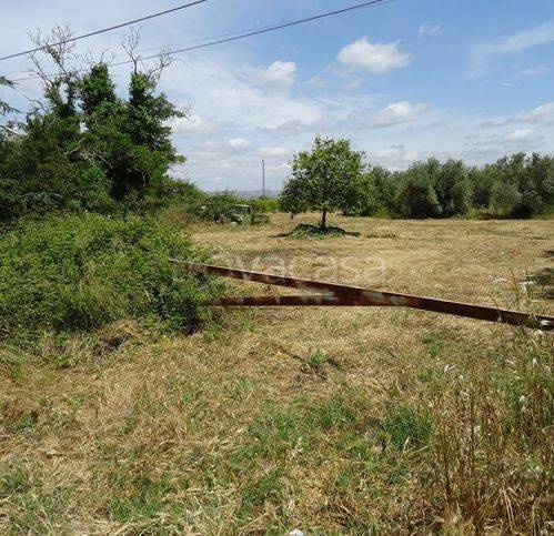 immagine annuncio 3 di 7