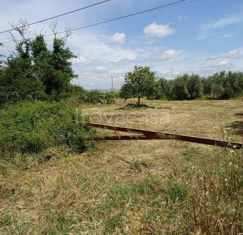 immagine annuncio 2 di 7