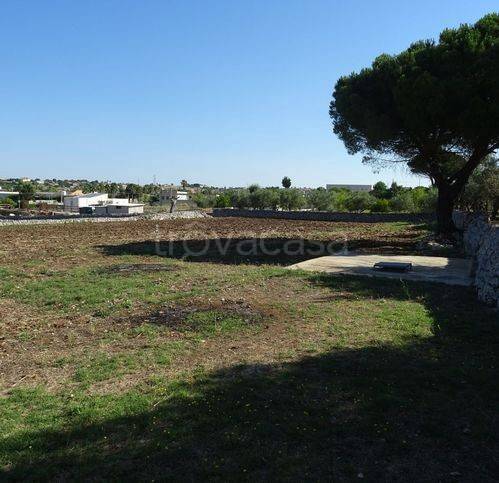 immagine annuncio 8 di 11