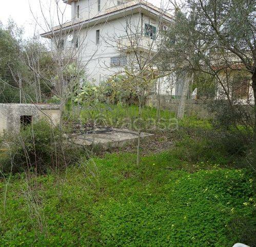 immagine annuncio 6 di 13