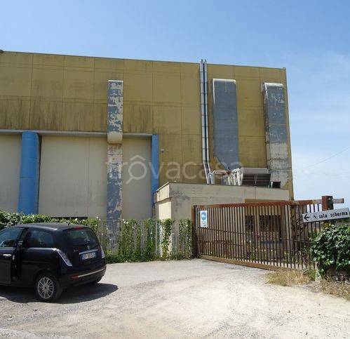 immagine annuncio 5 di 7