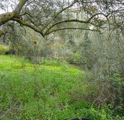 immagine annuncio 10 di 13