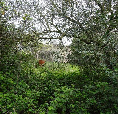 immagine annuncio 11 di 13