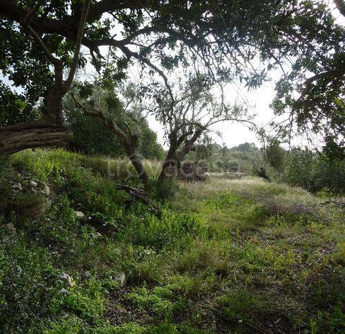 immagine annuncio 9 di 13