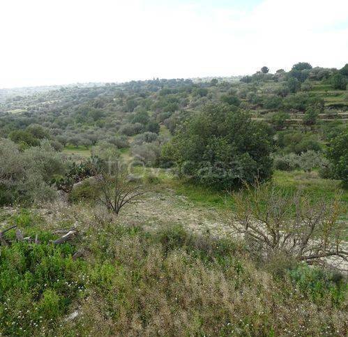 immagine annuncio 11 di 13