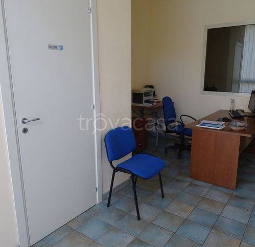 immagine annuncio 3 di 12