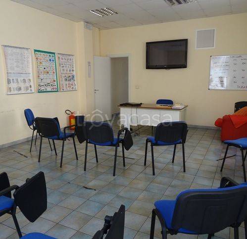 immagine annuncio 4 di 12