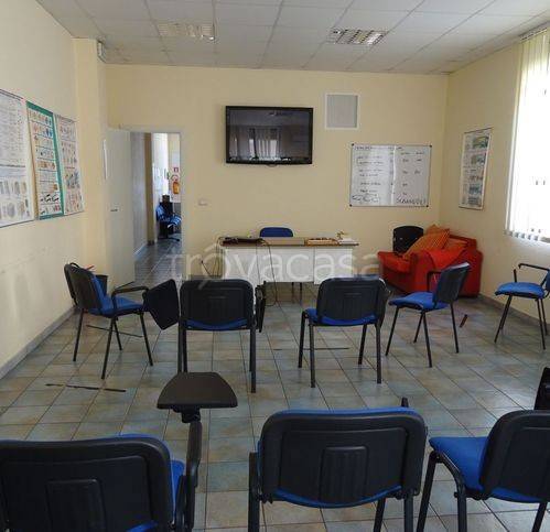 immagine annuncio 5 di 12