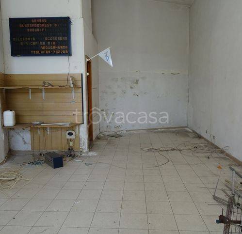 immagine annuncio 4 di 12