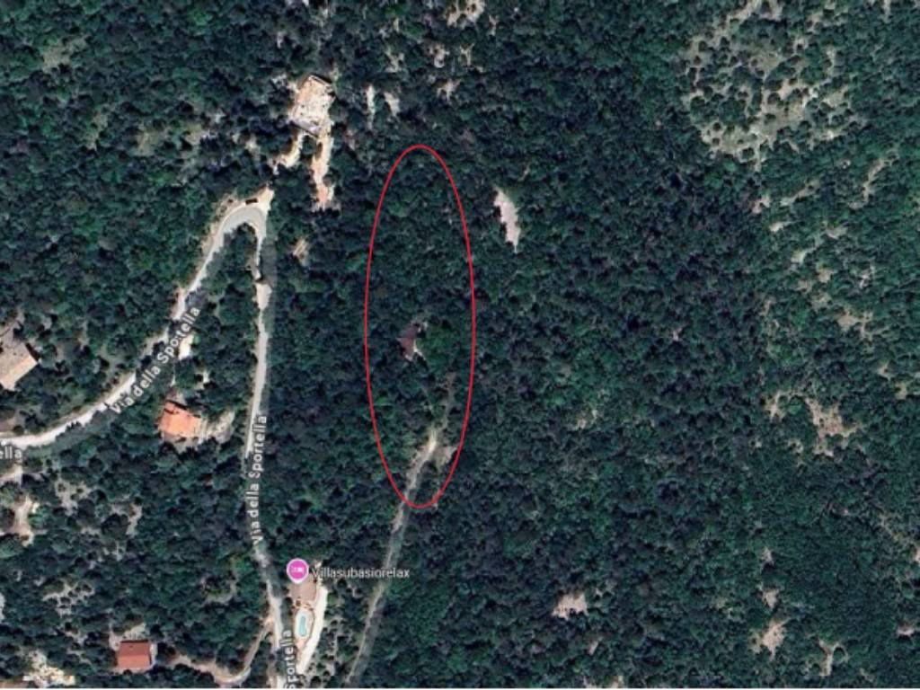 immagine annuncio 8 di 11