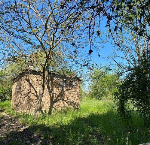 immagine annuncio 2 di 4