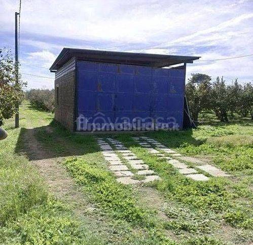 immagine annuncio 2 di 6