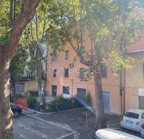 immagine annuncio 3 di 6