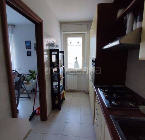 immagine annuncio 3 di 13