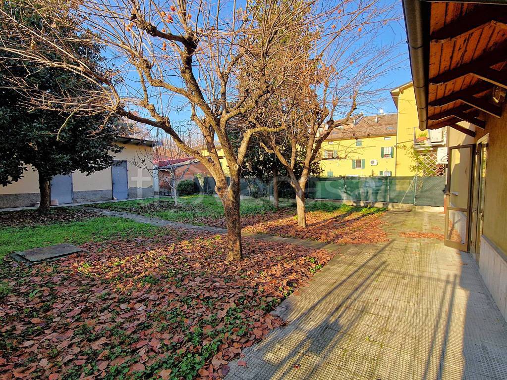 immagine annuncio 3 di 15