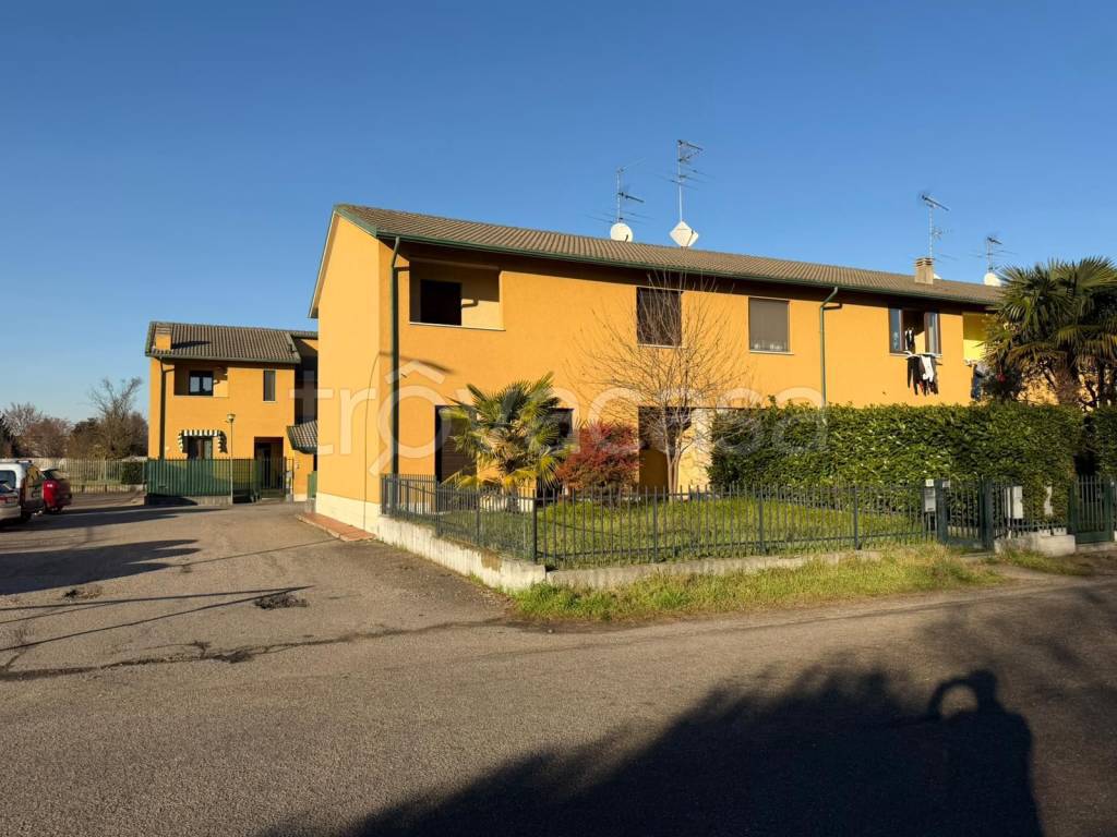 immagine annuncio 1 di 10