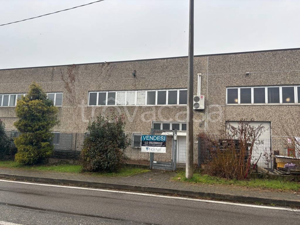 immagine annuncio 1 di 6