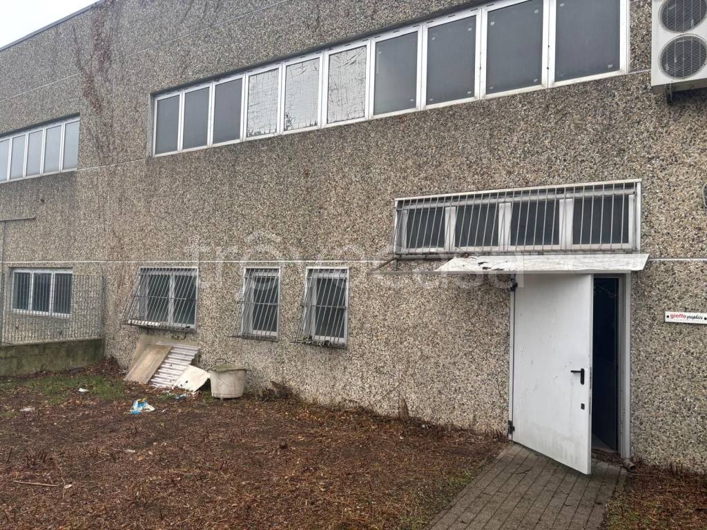 immagine annuncio 2 di 6