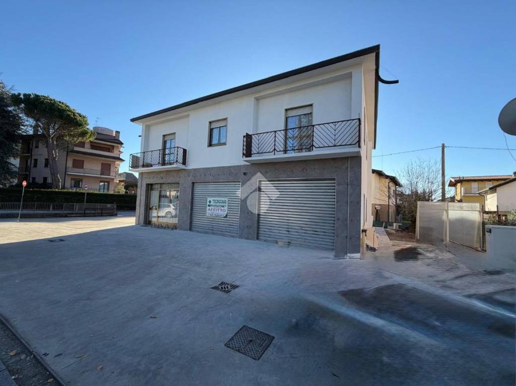 immagine annuncio 1 di 12