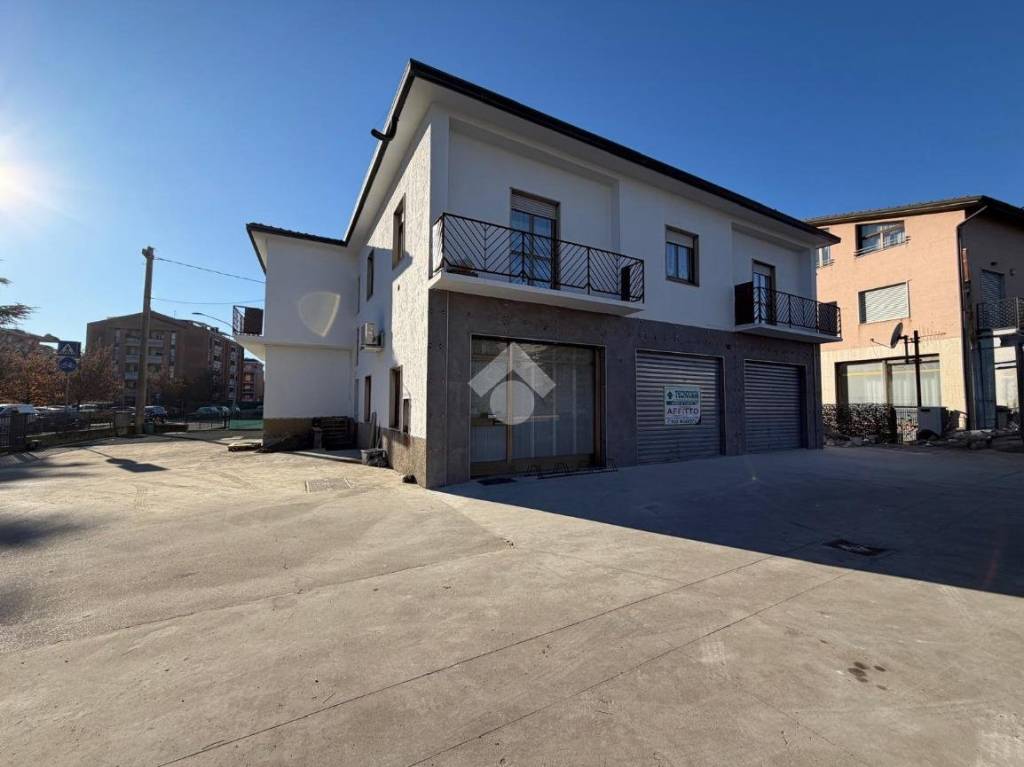 immagine annuncio 2 di 12