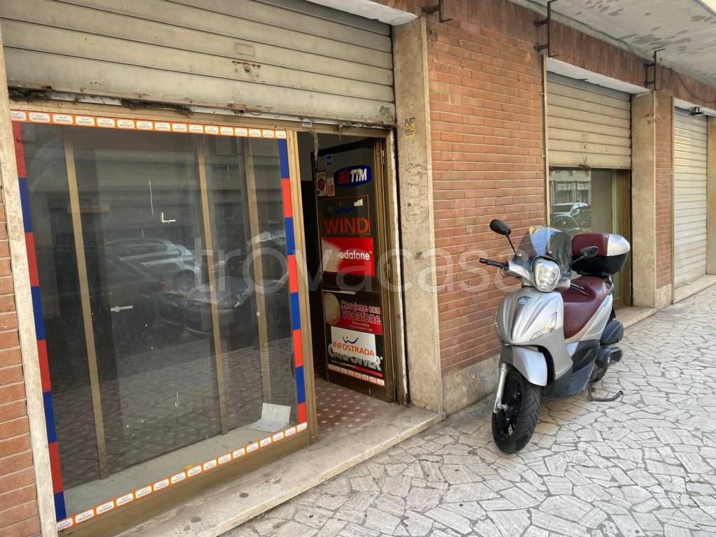 immagine annuncio 11 di 14