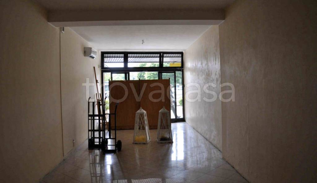 immagine annuncio 2 di 8